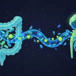 Featured image for How Gut Bacteria Shield Kidney Cells From Inflammatory Damage
