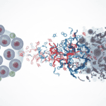 Featured image for How Free Radicals Turn Your Skin Into Cellular Wreckage