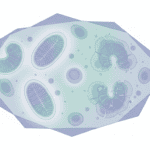 Featured image for How Bacterial Infections Shut Down Liver Cell Power Plants