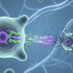 Featured image for How Immune Cells Use Chemical Warfare to Kill Invaders