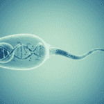 How Antioxidants Shape the Genetic Messages Sperm Pass to the Next Generation Featured image for How Antioxidants Shape the Genetic Messages Sperm Pass to the Next Generation