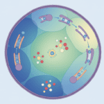How Your Cells Keep Their pH Perfect When Everything Around Them Changes Featured image for How Your Cells Keep Their pH Perfect When Everything Around Them Changes