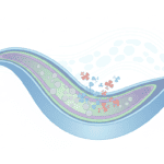 Featured image for When Mitochondria Can't Read Their Own Instructions