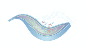 Featured image for When Mitochondria Can't Read Their Own Instructions