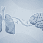 How Cigarette Smoke Creates a Chain of Oxidative Damage from Lungs to Brain Featured image for How Cigarette Smoke Creates a Chain of Oxidative Damage from Lungs to Brain