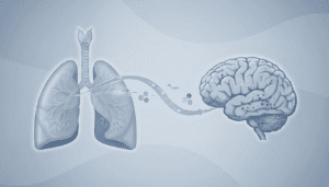 Featured image for How Cigarette Smoke Creates a Chain of Oxidative Damage from Lungs to Brain
