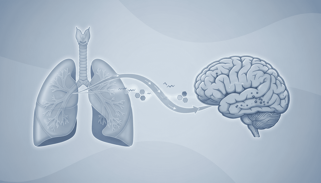 Featured image for How Cigarette Smoke Creates a Chain of Oxidative Damage from Lungs to Brain