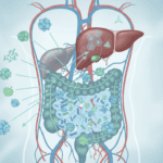 How Your Gut Bacteria Control Your Body's Master Detox System Featured image for How Your Gut Bacteria Control Your Body's Master Detox System
