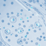 When Cellular Alarm Systems Stop Working: The Hidden Cause of Age-Related Immune Decline Featured image for When Cellular Alarm Systems Stop Working: The Hidden Cause of Age-Related Immune Decline
