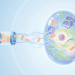 Scientists Can Now Deliver Healthy Mitochondria Directly Into Diseased Cells Featured image for Scientists Can Now Deliver Healthy Mitochondria Directly Into Diseased Cells