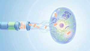 Featured image for Scientists Can Now Deliver Healthy Mitochondria Directly Into Diseased Cells