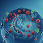 How Birth Control Pills Reshape Copper and Oxidative Stress in Cells Featured image for How Birth Control Pills Reshape Copper and Oxidative Stress in Cells