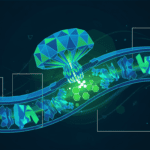 Featured image for Why Magnesium Is the Hidden Linchpin of Your Cells' Energy System