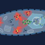 Microplastics and the Cellular Alarm: How Cells Fight Back Against Plastic Particles Featured image for Microplastics and the Cellular Alarm: How Cells Fight Back Against Plastic Particles