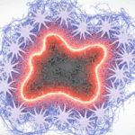 How Brain Cells Respond to Stroke Damage by Building Collagen Featured image for How Brain Cells Respond to Stroke Damage by Building Collagen