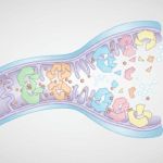 How Copper Nanoparticles Hijack Mitochondrial Assembly and Stress Responses Featured image for How Copper Nanoparticles Hijack Mitochondrial Assembly and Stress Responses