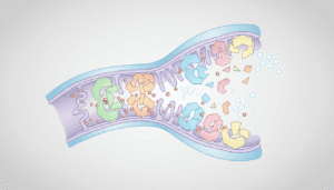 Featured image for How Copper Nanoparticles Hijack Mitochondrial Assembly and Stress Responses