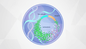 Featured image for Why Some People Handle Toxins Better Than Others: The Genetic Lottery of Oxidative Stress